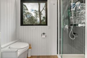 a bathroom with a shower and a toilet and a window at Northern Grampians Getaway in Dadswells Bridge