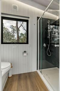 a bathroom with a shower and a toilet and a sink at Northern Grampians Getaway in Dadswells Bridge