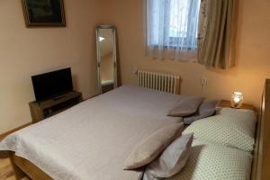 een slaapkamer met 2 bedden en een flatscreen-tv bij Hotel U Beránků in Libochovice