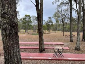un banco de picnic en un parque entre dos árboles en 5 Acre Retreat en Jimboomba