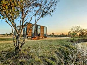 a glass house in a field with a tree at Turtle Island Lakeside Tiny House in Toogoom