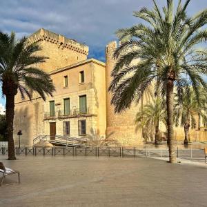 dos palmeras delante de un edificio en Sol Mediterráneo Palm City, en Elche