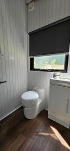Samford的住宿－Jacaranda Mews，一间带白色卫生间的浴室和窗户。