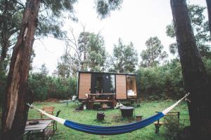 a hammock in front of a tiny house in the woods at Quirindi in Dunalley