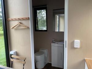 ein Badezimmer mit einem WC, einem Waschbecken und einem Spiegel in der Unterkunft Makowata Farm in Colosseum