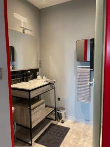 a bathroom with a sink and a mirror at Le studio urbain qu’il vous faut ! in Saint-Dizier