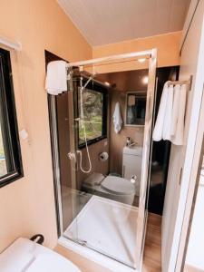 a bathroom with a glass shower and a toilet at Streamside Tiny House in Mangatarata