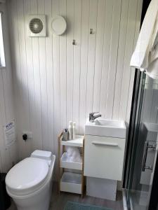 La petite salle de bains est pourvue de toilettes et d'un lavabo. dans l'établissement Raintree Farmstay, à Sarsfield