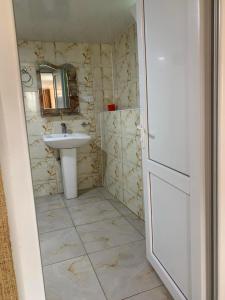 een badkamer met een wastafel en een spiegel bij Tsivi Tba in Tskaltubo