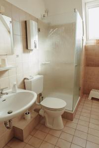 a bathroom with a toilet and a sink and a shower at Gästehaus Bröcker Wohnung 8 in Büsum