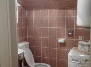 łazienka z toaletą i umywalką w obiekcie Apartment Source with Private Pool w mieście Pridvorje