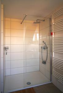 eine Dusche mit Glastür im Bad in der Unterkunft Villa Buchholz in Arnstadt