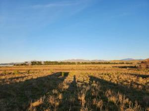 a field of grass with the sky in the background at Te Hau in Lower Dashwood