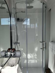 a bathroom with a shower with a glass door at Tiny Away Benger Garden 1 in Millers Flat