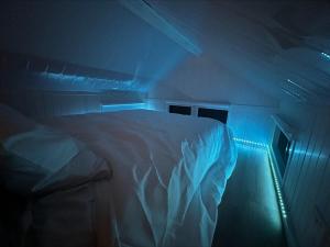 a bed in a room with a blue light at Tiny Away Benger Garden 1 in Millers Flat