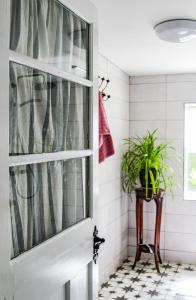 ein Badezimmer mit einer Duschtür und einer Pflanze in der Unterkunft Boss’s farmhouse in Valentia Island