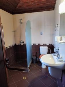 een badkamer met een douche, een wastafel en een toilet bij Вили Болярка in Kŭrdzhali