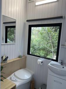 a bathroom with a toilet and a sink and a window at Cosy Dell in Herbert