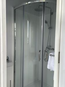 a shower with a glass door in a bathroom at Rangiuru Stream Tiny home in Otaki Beach