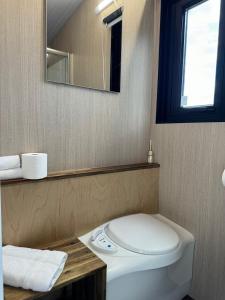 uma casa de banho com um WC branco e um espelho. em Sweet Hart 2 em Tamahere