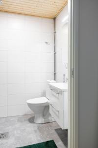 a white bathroom with a toilet and a sink at Studio Brita in Helsinki