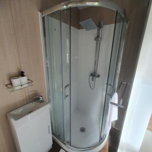 La salle de bains est pourvue d'une douche avec une porte en verre. dans l'établissement Gold Nugget, à Lawrence