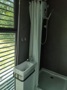 ein Bad mit einem Waschbecken und einem Duschvorhang in der Unterkunft Sungai Tiny House 2 in Raub