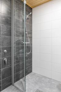 W łazience znajduje się prysznic ze szklanymi drzwiami. w obiekcie Studio Brita w Helsinkach