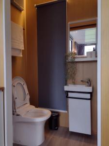 ein Badezimmer mit einem WC, einem Waschbecken und einem Spiegel in der Unterkunft Sungai Tiny House in Raub