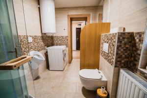 克拉尼斯卡戈拉Apartment LeLa with Sauna的带马桶和水槽的浴室 更多32张照片