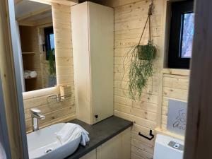 a bathroom with a sink and a mirror at Lisi Grun Tiny House in Sattledt