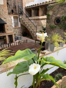 una planta con flores blancas delante de un edificio en Ca la Trini - turisme rural, en Torrelles de Foix