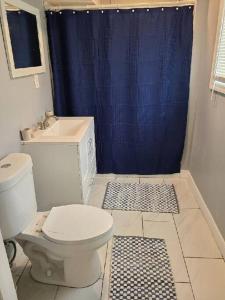 a bathroom with a toilet and a blue shower curtain at Spacious Retreat in Carbondale