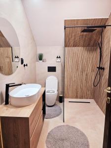 a bathroom with a sink and a toilet and a shower at Misha's House in Porumbacu de Sus +42 photos