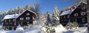 a couple of buildings covered in snow at Le CHALET Apart Hotel Autonome in Gerbépal