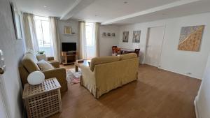 a living room with two couches and a television at Vouga Lodge in São Pedro do Sul