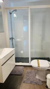 y baño blanco con ducha y aseo. en Vouga Lodge, en São Pedro do Sul