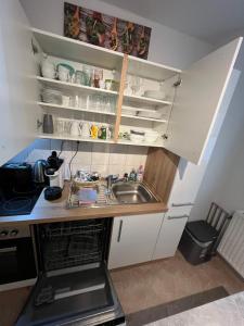 uma pequena cozinha com um lavatório e um balcão em Apartment 2 ideal für Familien und Geschäftsreisende ABG69 em Gera