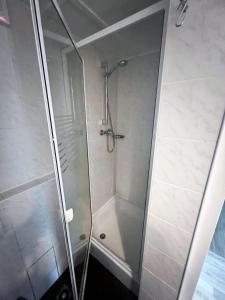 a shower with a glass door in a bathroom at Ferienhäuser Insel Usedom Waldhaus 3 mit Whirlpool - Direkt am Achterwasser in Lütow