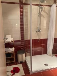 a bathroom with a shower with a glass door at Central City Nest - Sandra&David in Zadar