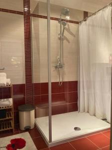a shower with a glass door in a bathroom at Central City Nest - Sandra&David in Zadar