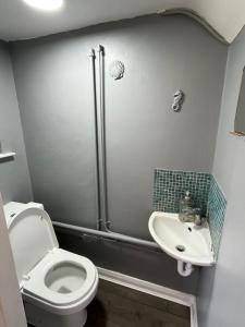 a bathroom with a toilet and a sink at Entire three bedrooms house in London