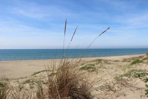 a sandy beach with grass and the ocean in the background at Appartamento Lungomare Toscanelli in Lido di Ostia
