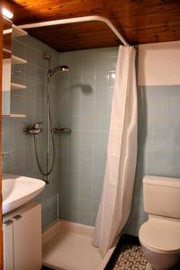 a bathroom with a shower and a toilet and a sink at Alpine chalet apt w/parking and porch in Meiringen