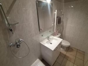 Kúpeľňa v ubytovaní Latre frères Location