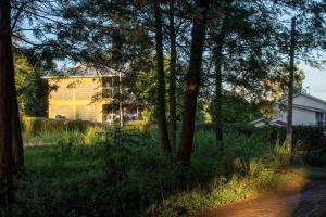 una casa in un campo con alberi e una strada sterrata di Hilda's place a Embu