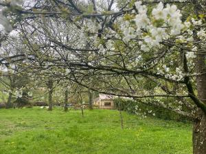 Ogród w obiekcie Gîte du Gué Maraud