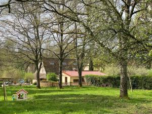 podwórko z drzewami i domek dla psów w trawie w obiekcie Gîte du Gué Maraud w mieście Magny-Lormes
