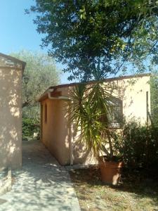 a small house with a palm tree in front of it at chambre indépendante avec salle de bains privative in Grasse +1 photo