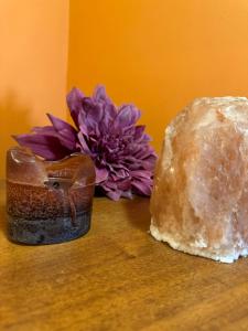 a purple flower and a rock on a table at NUX Luxury Apartments in Alexandroupoli +8 photos